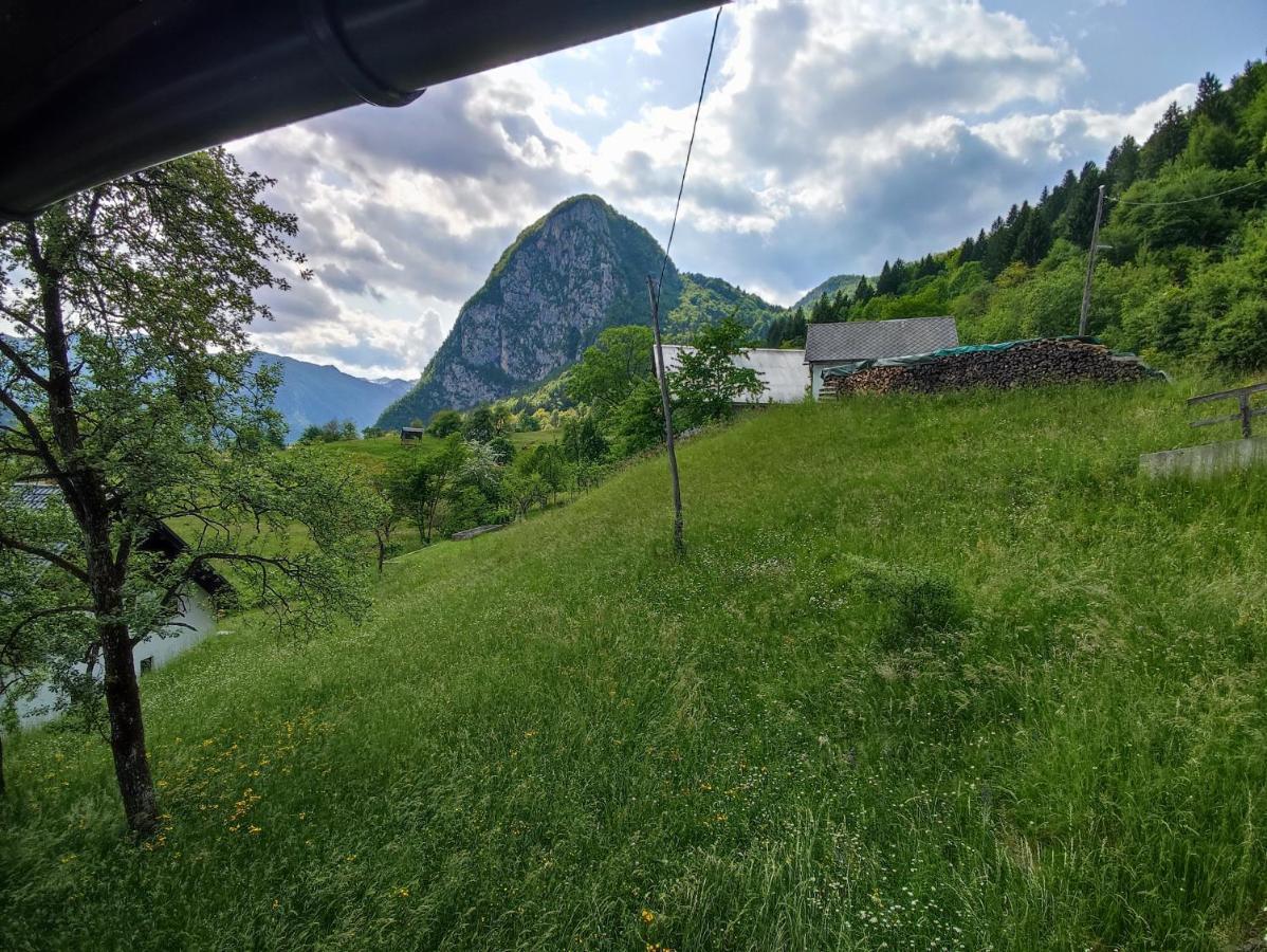 Apartmaji Mojca Bohinj Exterior foto