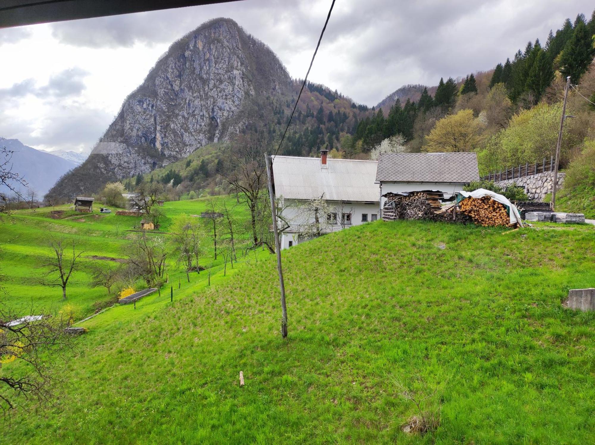 Apartmaji Mojca Bohinj Exterior foto